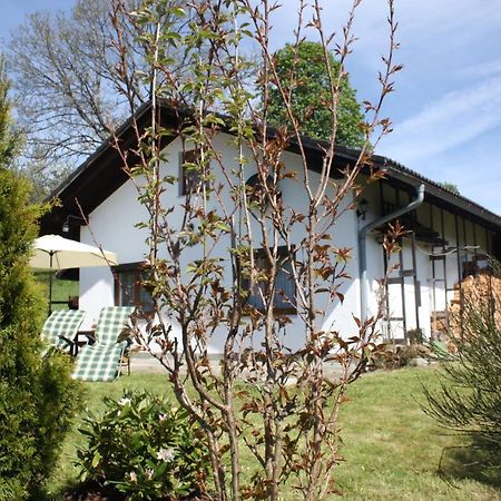 Ferienhaus Marchhaeuser 12 Haidmuhle Bagian luar foto