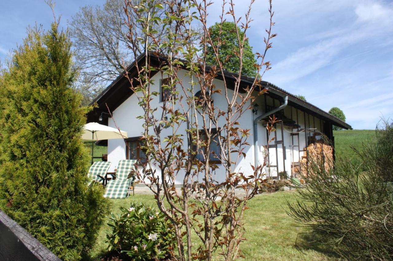 Ferienhaus Marchhaeuser 12 Haidmuhle Bagian luar foto